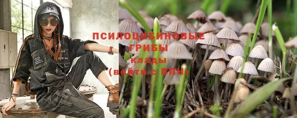 спайс Вязьма